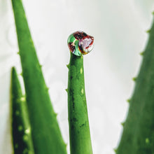 Load image into Gallery viewer, Natalie replacement kaleidoscope beads