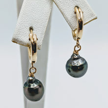 Load image into Gallery viewer, Mini hoop Tahitian pearl earrings