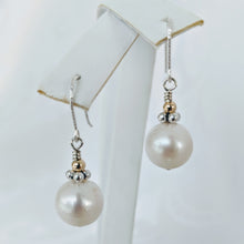 Load image into Gallery viewer, Simple Signature style pearl earrings
